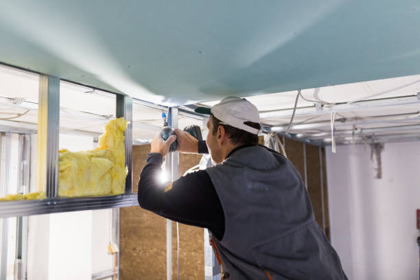 Best Local Insulation Services  in Twin Falls, ID