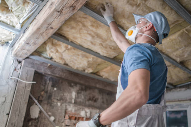 Insulation Repair Services in Twin Falls, ID