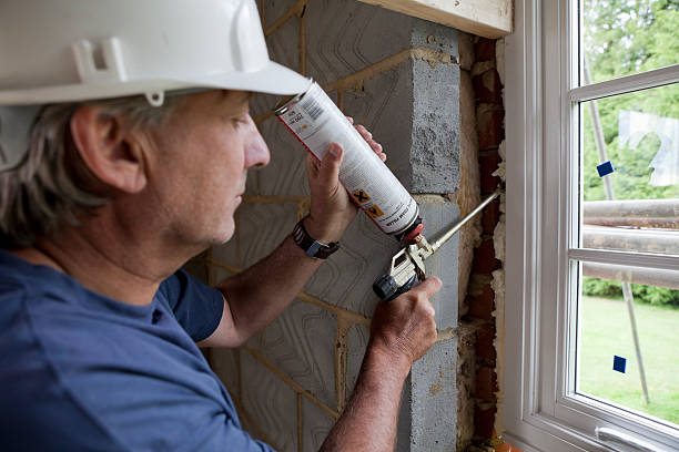 Best Professional Insulation Contractor  in Twin Falls, ID