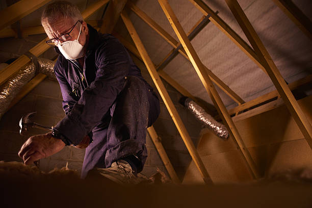 Best Garage Insulation Installation  in Twin Falls, ID
